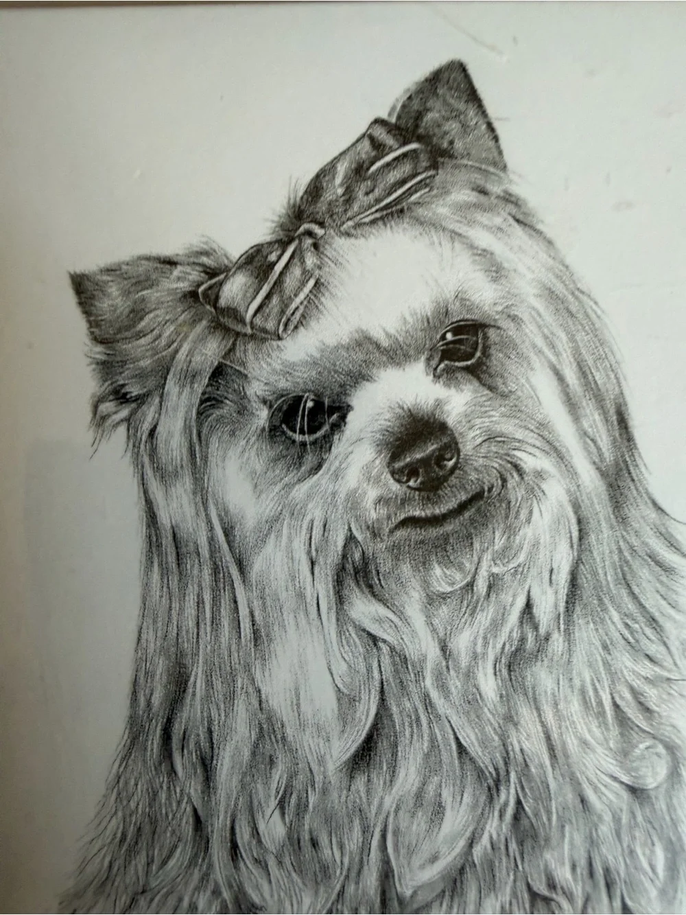Yorkshire Terrier Dog Note Cards (8) Fine Art Drawing
